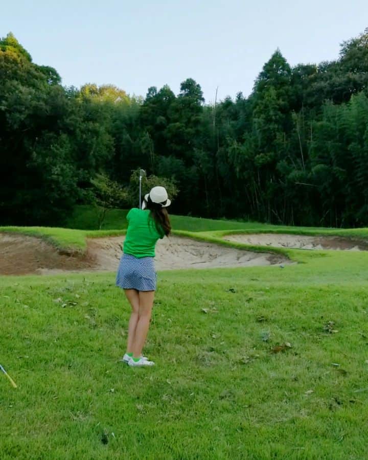 武田しのぶのグルメインスタ