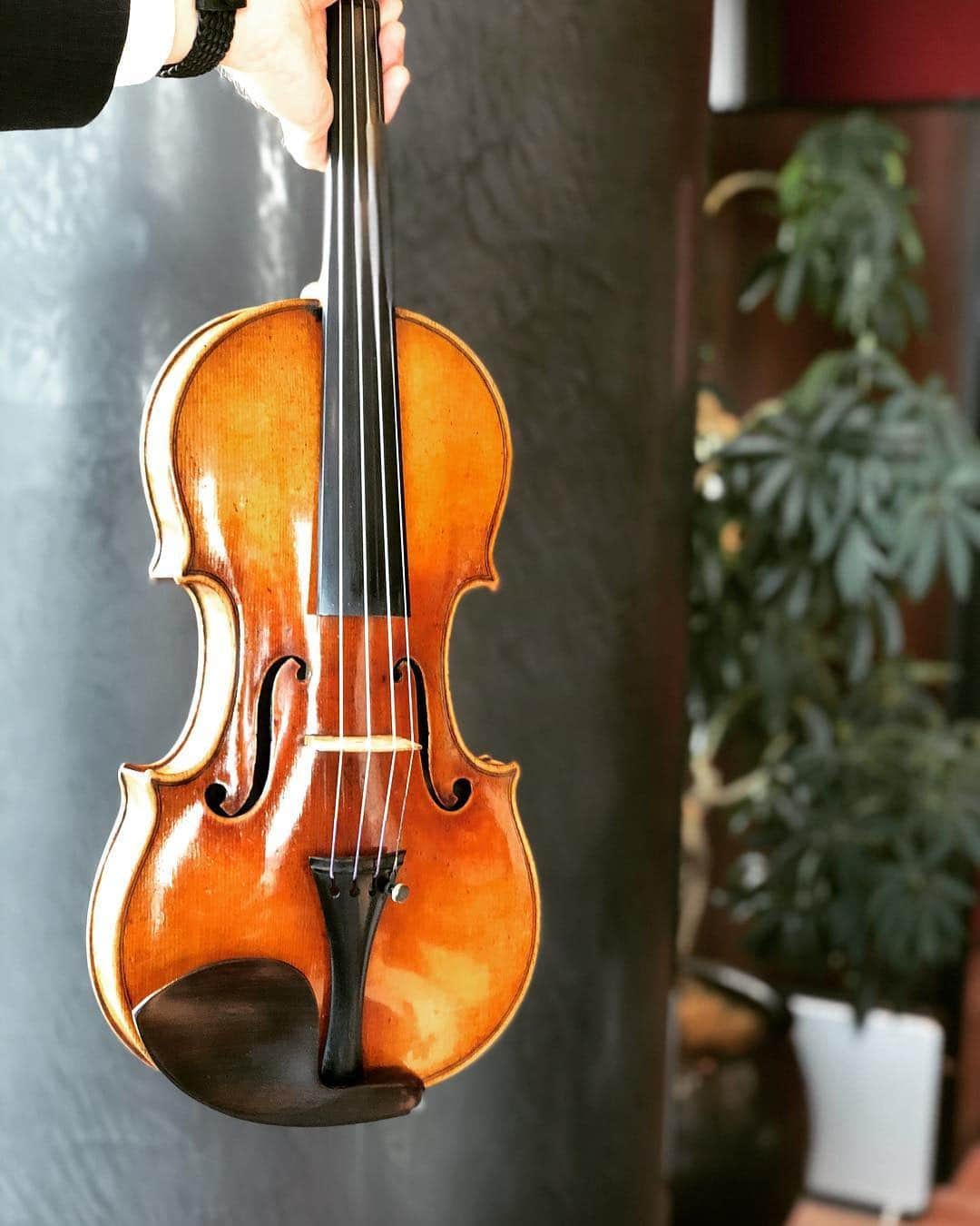 前澤友作さんのインスタグラム写真 - (前澤友作Instagram)「I purchased Stradivari 1717 Violin “Hamma”. Like Basquiat painting, I would like to make it travel around the world to send its strong and delicate sound to children in every region and country it visits under cooperation from local musicians.  #stradivarius #stradivari  Sorry for my terrible first violin playing... --- ‪1717年製のストラディヴァリウス「Hamma（ハンマ）」を買いました（8月12日の投稿のType 3がそれです）。バスキアと同じように、世界中を旅させ、現地音楽家の協力のもと、その地域や国々の子供たちの耳にその力強くも繊細な奇跡の音色を届けたいと思います。  #ストラディバリウス  初めてのヴァイオリン演奏に挑戦してみました笑。」10月2日 17時23分 - yusaku2020