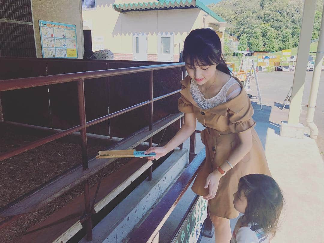 小森美果さんのインスタグラム写真 - (小森美果Instagram)「牛さん🐂にご飯あげたけど全然来なかった…#牛さん#子供の国」10月2日 19時29分 - mika.165