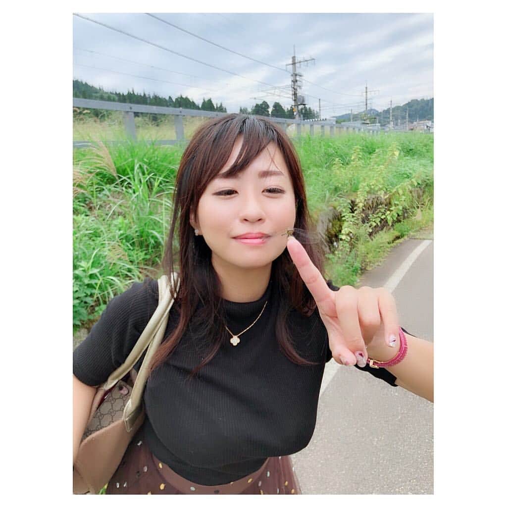 のインスタグラム：「トンボマスターが意外と好評だったのでインスタにも(´⊙ω⊙`) #トンボマスター #赤とんぼ #シオカラトンボ #dragonfly #田んぼしかない #コシヒカリ #好き #水樹たま #mizukitama #followｍe #japanesegirl #autumn #bigboobsgirls #着衣巨乳 #白米大好き #食欲の秋」