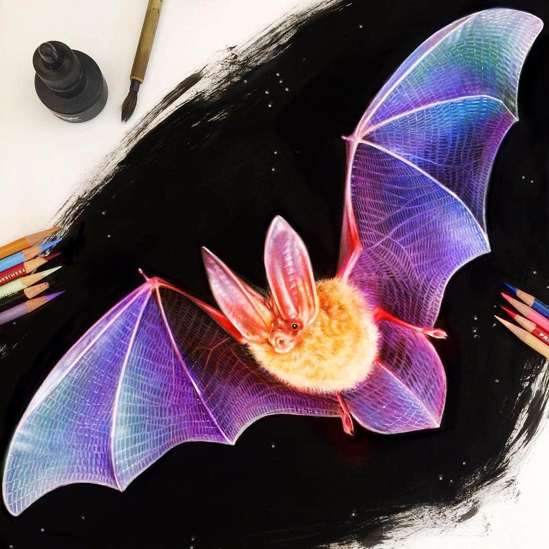 Morgan Davidsonのインスタグラム：「Wohooo! It’s finally October, my favorite month of the year! 🍁🍂🎃👻 Here’s my bat drawing, colored pencil with an ink background! Any ideas for spooky drawings this month? 🤔」