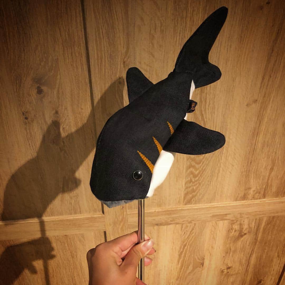 杉山美帆さんのインスタグラム写真 - (杉山美帆Instagram)「サメカバーに一目惚れ😍♡ *  本当はut用だけど、パターカバーにしてみました🙈✨*可愛い…  #サメ好き#ゴルフ#golf#パターカバー#サメ#DANIA」10月3日 16時00分 - mih0_golf