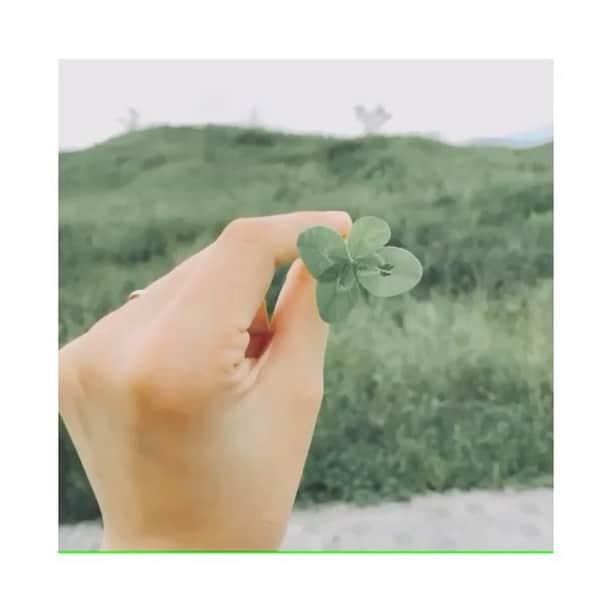 のインスタグラム：「🚗🍀 ・ ・ ・ ファミリアで岡山へ向かってます🎷🎸 #四葉採取  #いっこめ」