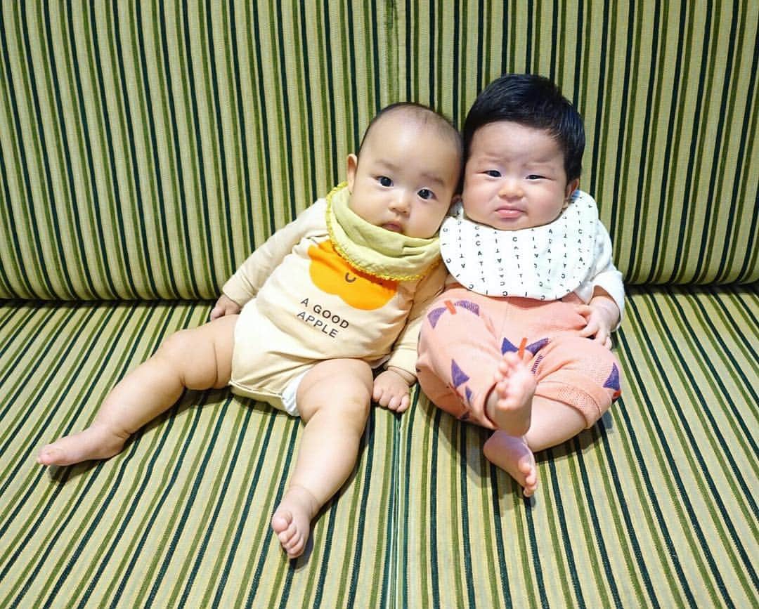 HALCALIのグルメインスタ