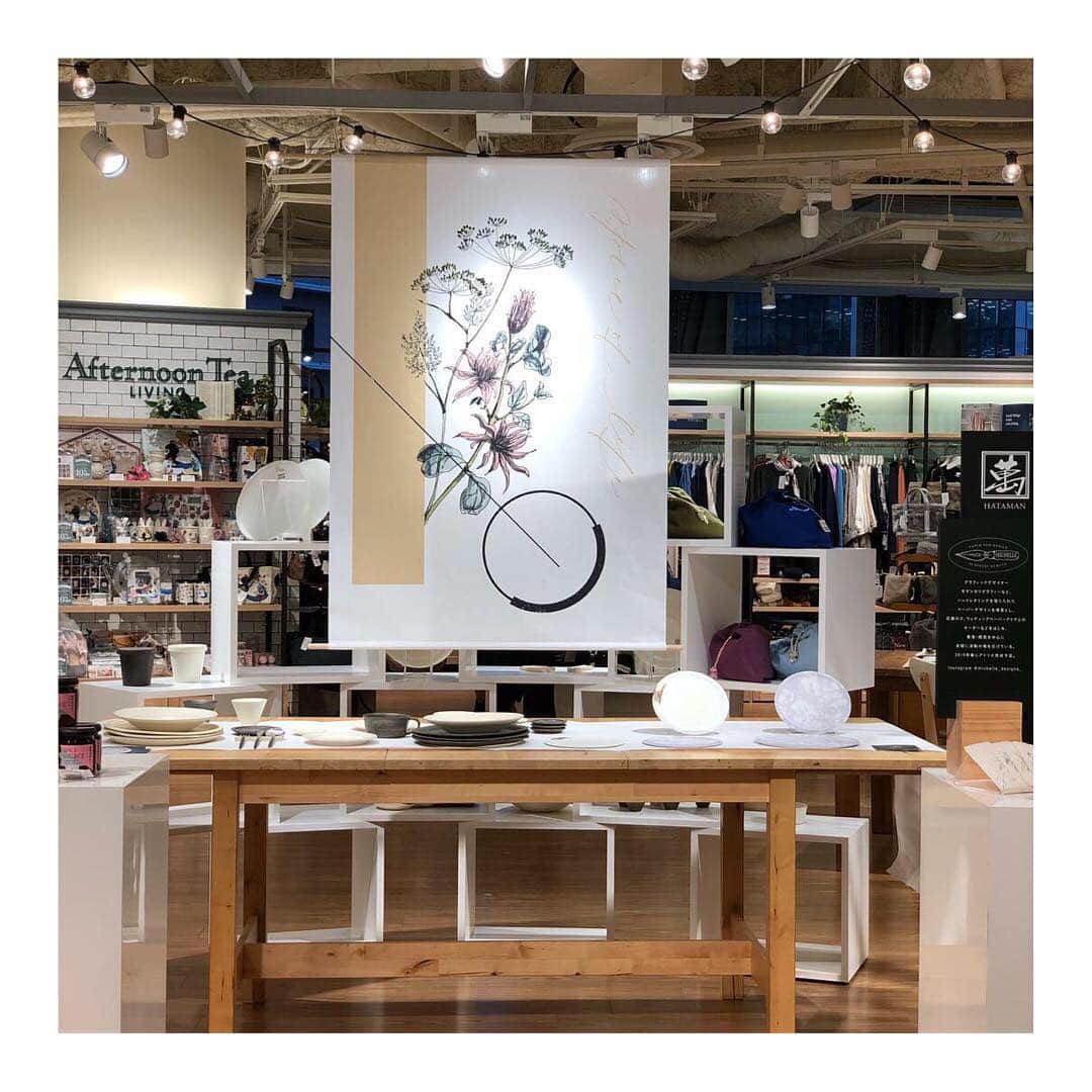 中本千尋のグルメインスタ