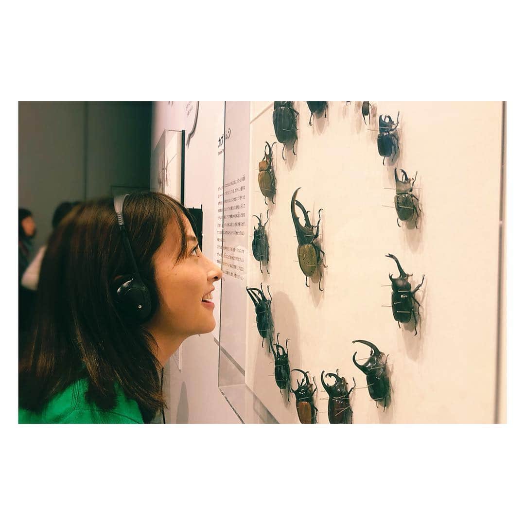 古谷有美さんのインスタグラム写真 - (古谷有美Instagram)「🐝 「ゆうみさん...！わたし昆虫だったら どうせなら標本になりたいです....！」 と決意を新たにした日比さんなのでした。 ・ ・ #全力で応援するよ #昆虫展 #たっぷり3時間 #付き合ってくれてありがとう」10月4日 18時46分 - yuumifuruya