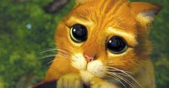 Nana _The Scottish Foldさんのインスタグラム写真 - (Nana _The Scottish FoldInstagram)「Nana should be in shrek 3? Lol . . 슈렉고양이 나찌찌❤️ . .  #caturday #instagramcats #instacats #kittycat #mycat #cutecat #lfl #kittensofinstagram #lovekittens #thedailykitten #kittylove #pet #instapet #instapets #petlover #petoftheday #pets_of_instagram #happy_pet #ilovecats #catsofinstagram #냥스타그램 #묘스타그램 #고양이그램 #고양이 #고양이스타그램 #냥스타그램 #스코티쉬폴드 #나나스타그램 #caturday」10月4日 18時46分 - ciao_nana
