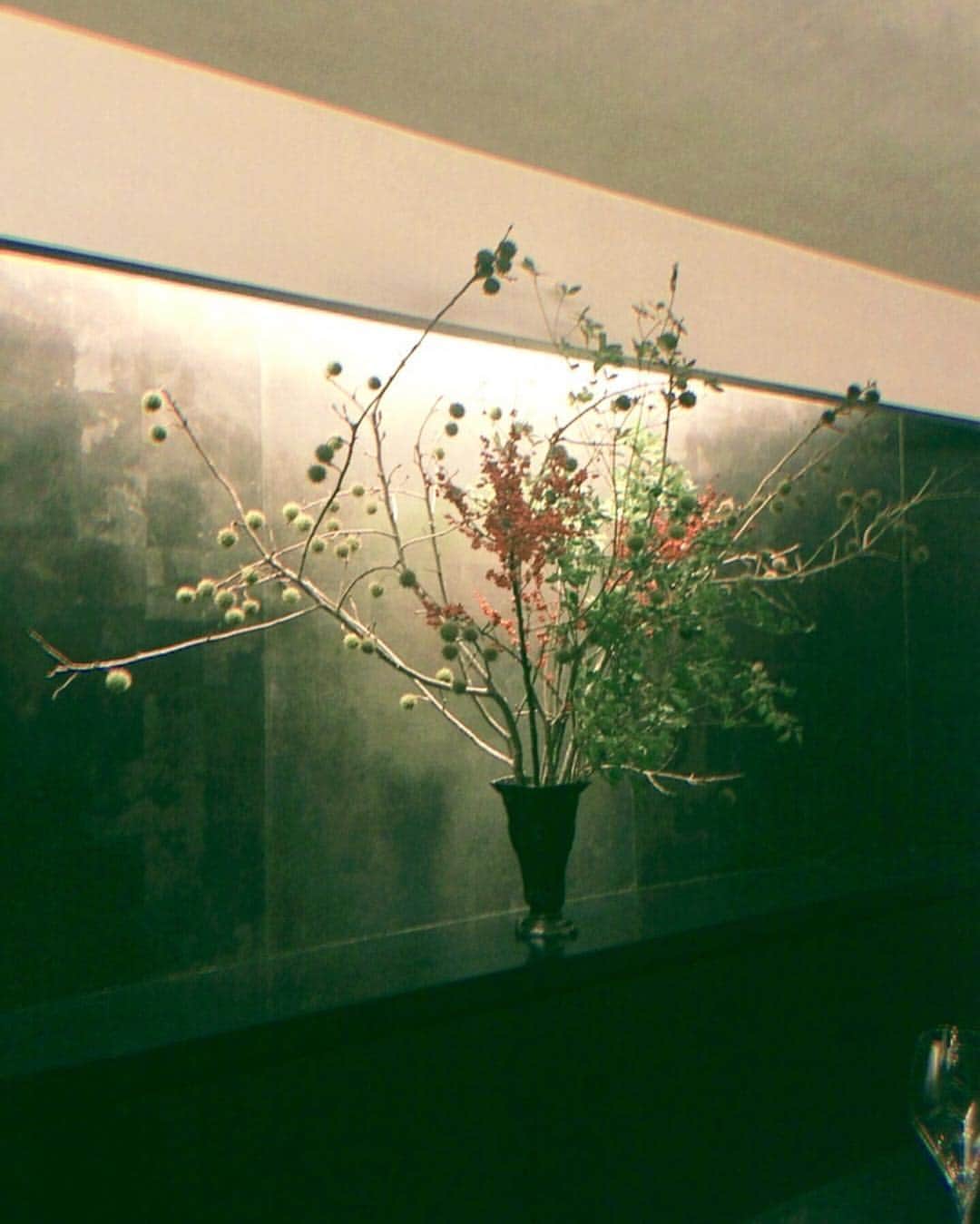 西内まりやのグルメインスタ