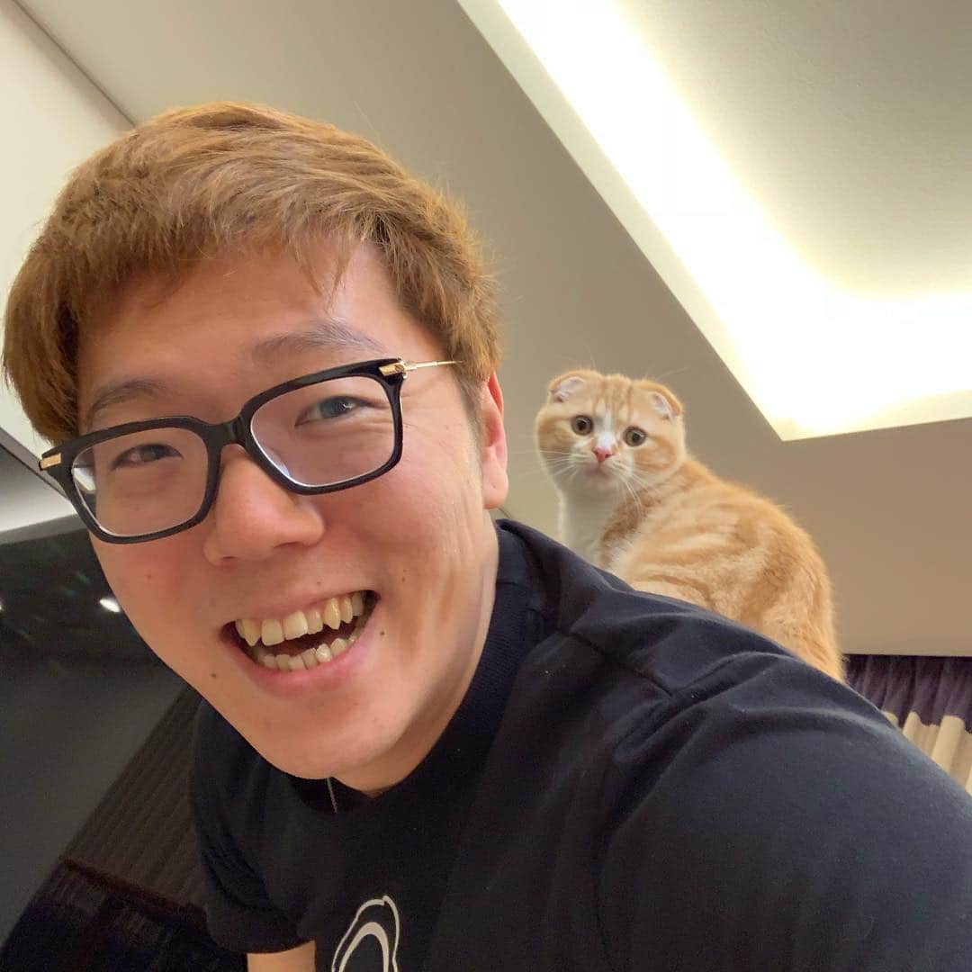 HIKAKINのインスタグラム：「まるお、おんぶしてみた😭💕 背中に乗せて部屋を歩きました（笑）」