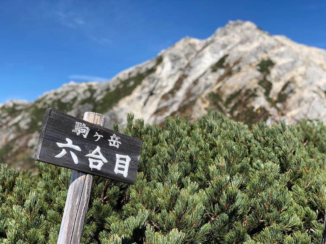 植田夢月さんのインスタグラム写真 - (植田夢月Instagram)「・ 10/2〜4 甲斐駒ケ岳に行ってきました！ 狙いは、Aフランケ「スーパー赤蜘蛛」！ …なんですが、そのハナシは今度書くとして、 甲斐駒ケ岳それ自体がスーパー良かったです。 ・ 9月の長雨が嘘みたいな晴天 紅葉が始まっている山々 遠くまで見渡せる澄んだ空気 朝と夕方の柔らかい光…… こんな日に登ったら、絶対山が好きになるだろ！っていうコンディションの中、10/2に北沢峠から甲斐駒ケ岳に登頂しました。 ・ 360度、どこを見ても美しいものしかなくて、スーパー赤蜘蛛登れなくてもこれだけで満足っすわ、なんて思っちゃいました。 やっぱり山好きだ！ ・ ・ 1〜4枚目: 甲斐駒山頂付近にて 5枚目: 駒津峰（手前）と甲斐駒と摩利支天（右） 6枚目: 駒津峰にて ・ #しかしながら荷物重すぎて太ももが空前の筋肉痛に #夫の方が自撮り上手いし」10月4日 21時54分 - dream_moco