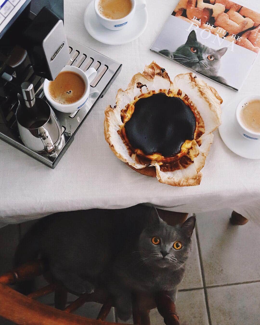 樋口正樹さんのインスタグラム写真 - (樋口正樹Instagram)「Basque cheese cake . 挽きたて淹れたての おいしいコーヒーと、 黒いチーズケーキで 美味しいおやつ時間。 . こんがりと香ばしく しっとり仕上がりの バスクチーズケーキ。 このケーキレシピも 新刊に載ってますー。 . . @delonghi_japan #delonghi #delonghista #DeLonghiMoments #DelonghiELETTA #デロンギ #デロンギスタ #デロンギのある暮らし #デロンギコーヒーマシン #デロンギ全自動コーヒーマシン #エレッタ #ホットコーヒー #猫とコーヒー #バビブベボナさん #バスクチーズケーキ」10月5日 15時07分 - higuccini