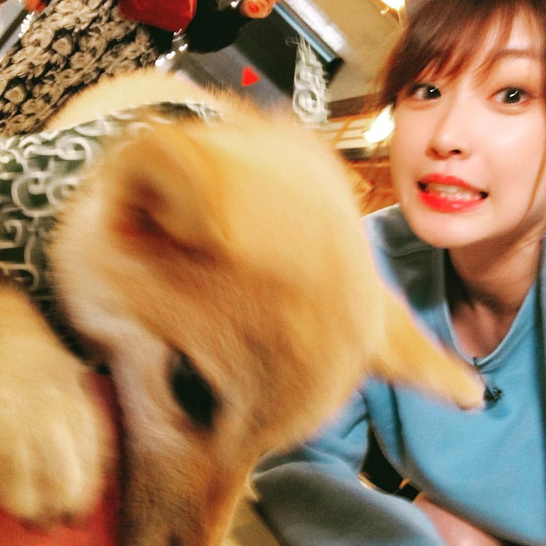 日本テレビ「NOGIBINGO!」さんのインスタグラム写真 - (日本テレビ「NOGIBINGO!」Instagram)「#nogibingo #若卒業おめでとう #楽しかった #大好きなみんなと #原宿 #想い出」10月5日 19時19分 - nogista_ntv