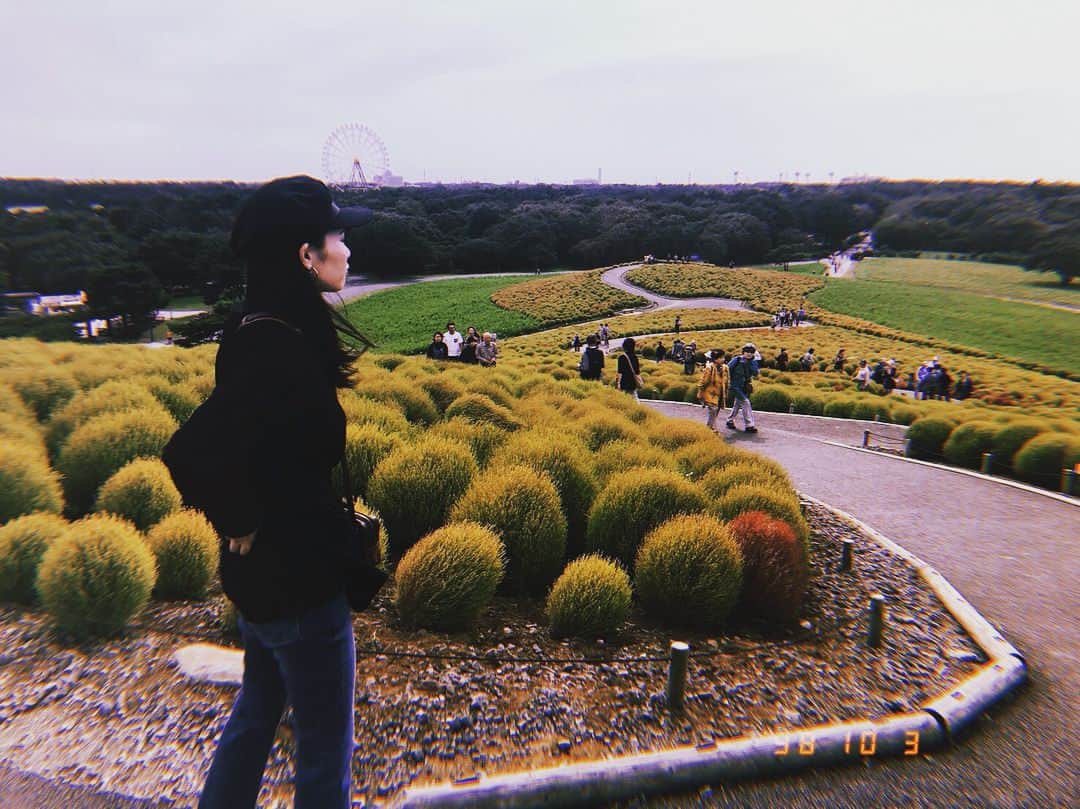 のインスタグラム：「ずっと行きたいと思ってた場所。 久しぶりに遠出した🙃💓 コキアがちらほら赤くなってて秋だなって感じた1日🍂🍁 . #japan #dayoff #happy #life  #style #time #me #girl #drive #autumn #instagood  #茨城 #ひたち海浜公園 #コキア #ススキ #ボンボン」