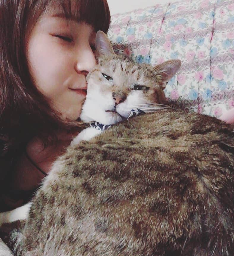 新田恵海さんのインスタグラム写真 - (新田恵海Instagram)「いもこさん、すんすん❤️ #実家の猫さん  #嫌そうな顔がたまらん #明日はよろしくお願いします #サイン会楽しみね」10月5日 21時40分 - tnstagram1210