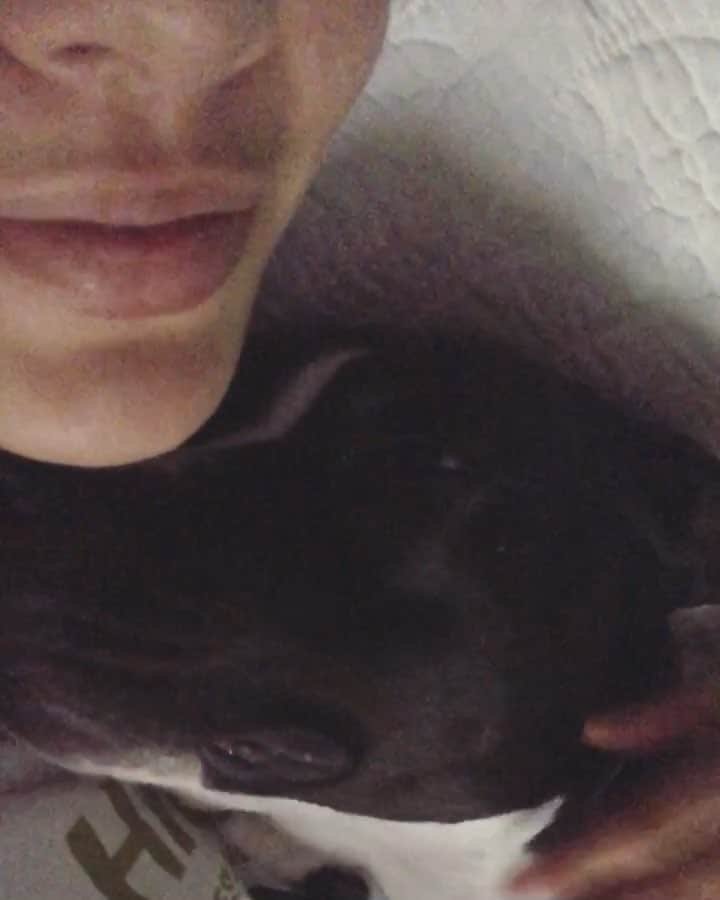 Janice Griffithのインスタグラム：「everything seems bad lately so here is a video of me and @pocketopal this morning before we got out of bed」