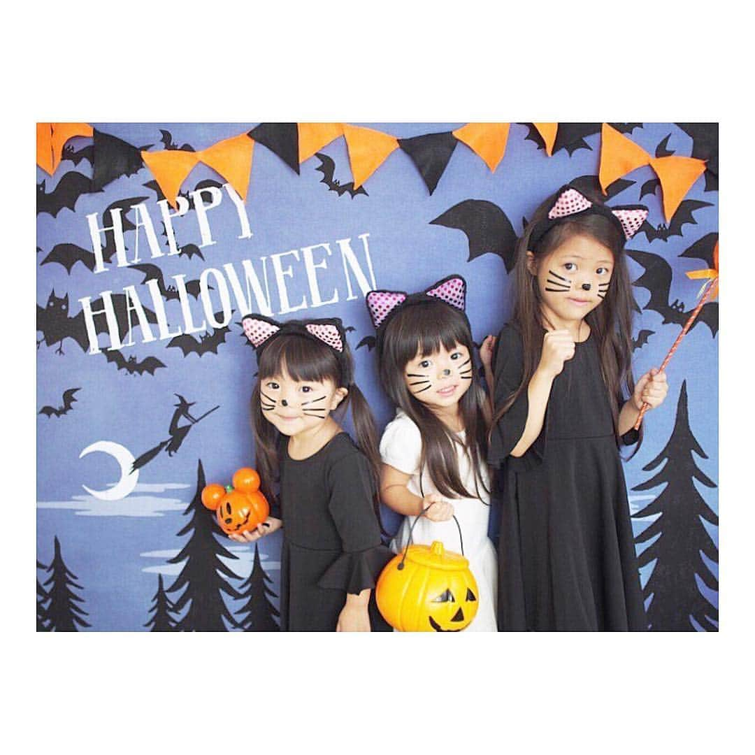 Yukiさんのインスタグラム写真 - (YukiInstagram)「🎃Halloween🍬は可愛いグッズがいっぱいでわくわくしちゃいます(o^^o)  @gracocoryoko さんの壁紙で一気にハロウィン🎃らしくなってお気に入り♡  スワイプ 3枚目からは1.2年前のもの🎃  スタバのフラペチーノも2年前のお顔に🐱もすでに懐かしい〜♡♡ * *  今のところ🐱ちゃんがお気に入りだけど、 今年はハロウィンで何を着ようかなーと考えるのも楽しいです♡♡ Halloween🎃も楽しく過ごしたいですね♡♡ #Halloween #ねこ #フラペチーノ #グラこころのハロウィン」10月6日 22時13分 - yukikuu96