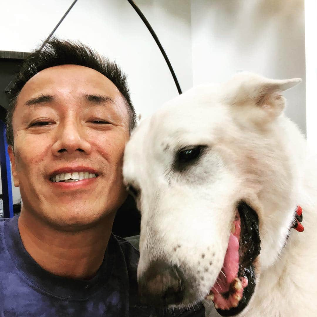 長渕剛さんのインスタグラム写真 - (長渕剛Instagram)「俺の友達。 My friend!! #Dogs#white」10月6日 13時38分 - tsuyoshi_nagabuchi