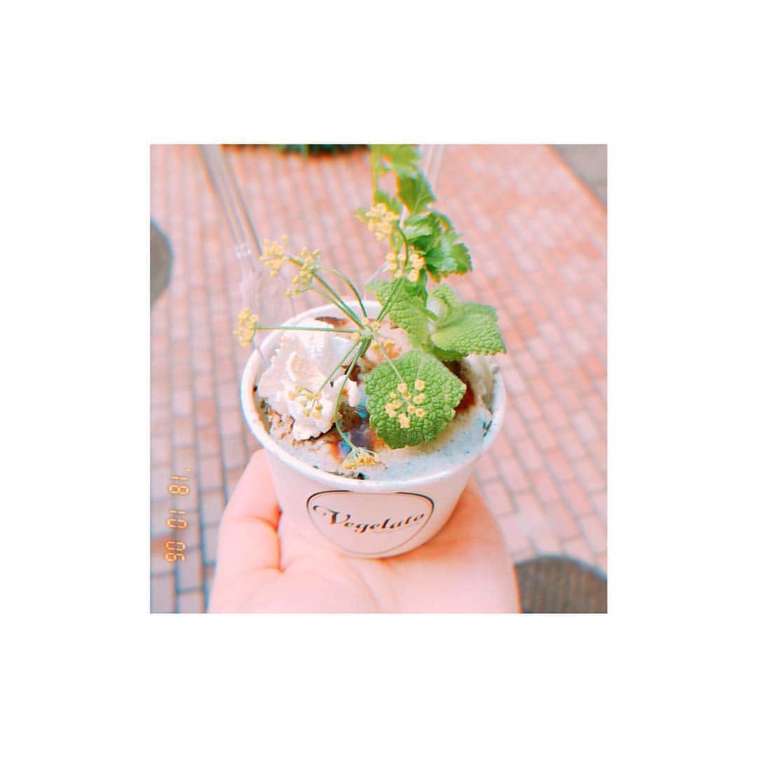 トリンドル玲奈さんのインスタグラム写真 - (トリンドル玲奈Instagram)「お野菜のアイス。。😳 なんてかわいいの。。❤︎☺️」10月6日 14時57分 - toritori0123
