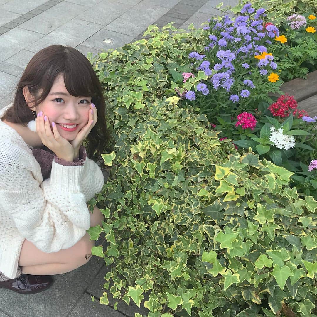 本田依里佳のインスタグラム：「こんばんは😊 ・ 今日はオープニングPVの撮影でした！✨📹可愛いお花も咲いていました🌸 どんなPVになるのか、楽しみです！😆ぜひ11月4日、見に来て頂けると嬉しいです🙇‍♀️ ・ 今日も投票よろしくお願い致します🙇‍♀️🎀」