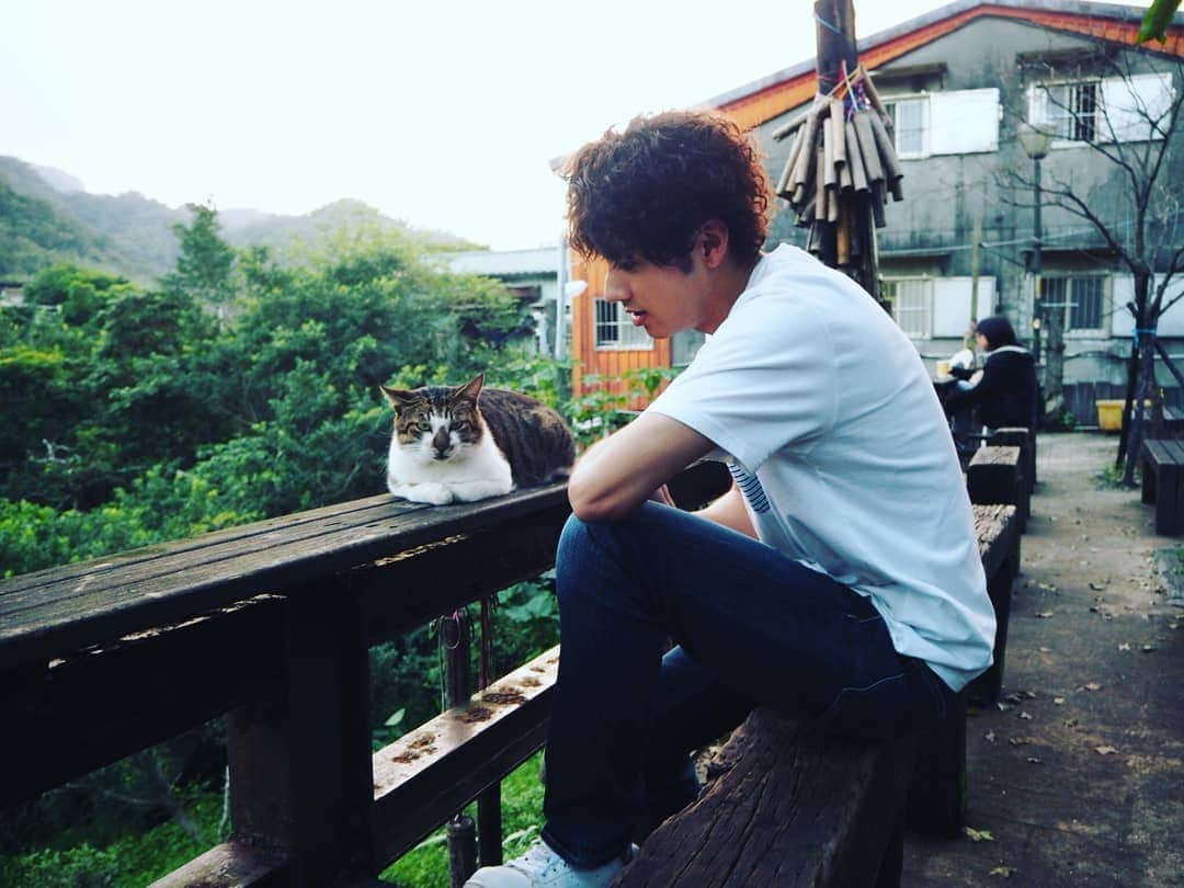 山田裕貴さんのインスタグラム写真 - (山田裕貴Instagram)「『あの頃、君を追いかけた』 裏話の前に たくさんの感想、ありがとうございます！ 基本いつも、コメント全部読んでます TwitterでもInstagramでも ぜひぜひ！ 全部読みます ありがたいです！ 皆様の声が 作品を 山田裕貴という俳優を 大きくしてくれます。  台湾でのクランクアップを迎えたのですが、 本当に本当のラストカットを撮り終えた後、 猫がここで黄昏ていました。 主人公、水島浩介と猫 作品を観てくれた人はわかると思いますが 猫は浩介と幼なじみ詩子というキャラクターに大いに関わってくるのですが、、、 詩子にある言葉を言われています  僕はこの猫になぜか 第一声 「おつかれさん」 って声をかけていました。  今考えるとゾッとするのですが… この写真を見て ハッとしました  あー 自分は本当に水島浩介だったのだと  どういう意味かは 作品を観ていただければ わかるかと思います。  #あの頃君を追いかけた  #キミオイ  #齋藤飛鳥 ちゃん → #早瀬真愛 #松本穂香 ちゃん → #小松原詩子  #佐久本宝 くん → #大野陽平  #國島直希 くん → #町田健人  #中田圭祐 くん → #秋山寿音  #遊佐亮介 → #杉村一樹  #長谷川康夫 監督 #山田裕貴 → #水島浩介 と #猫」10月6日 23時00分 - 00_yuki_y