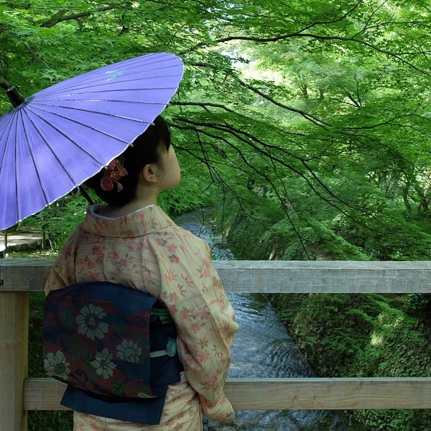 Atsukoのインスタグラム：「・ Kimono style ・ ・ 着物きたいのになかなか着る機会なく、秋がくる…… 着物が似合う撫で肩の女性にいまだに憧れを抱く。レンタルのアンティーク着物を着せていただいても、わたしの肩はいかり肩…そで丈合わずが多い…😢 ・ ・ ＊」