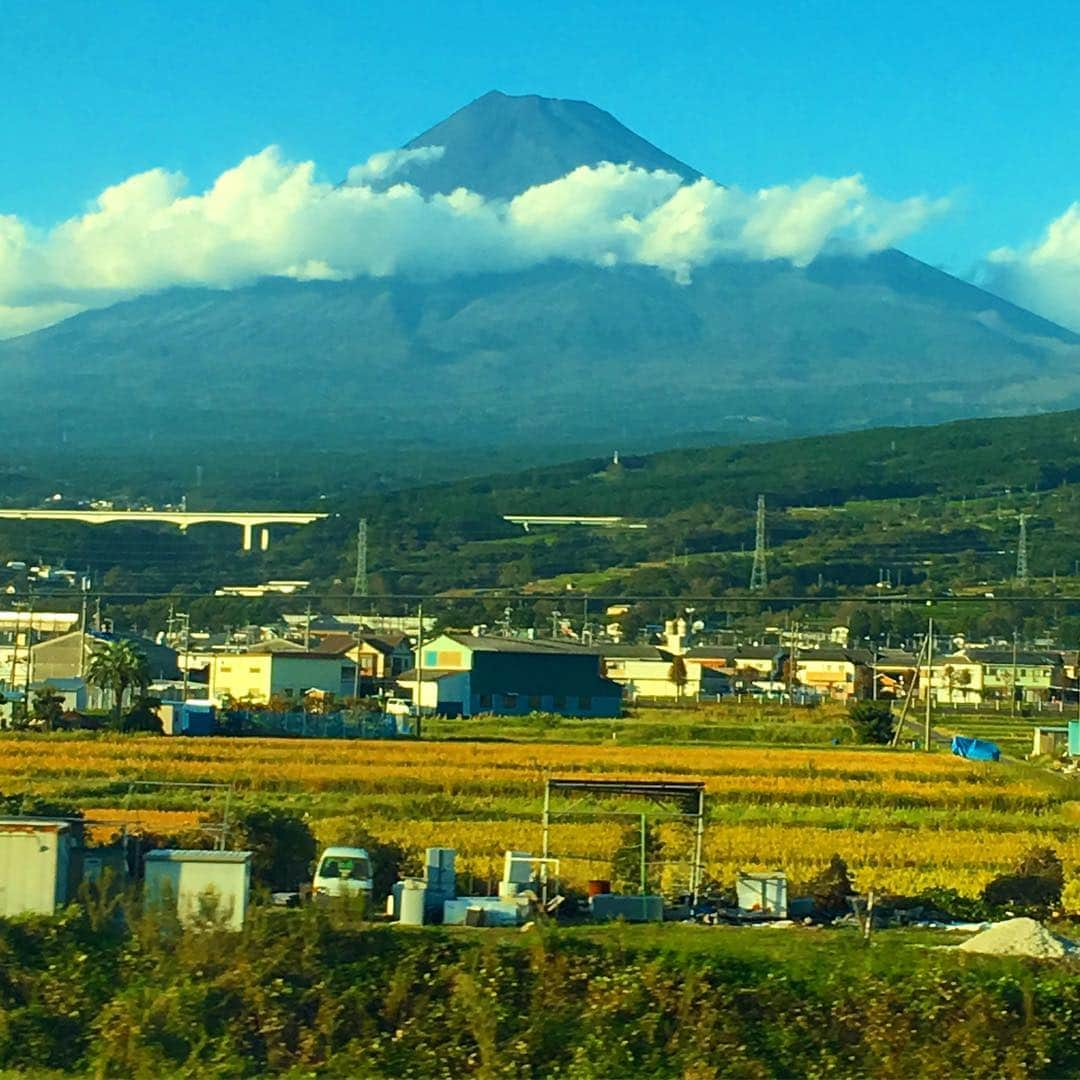 南條庄祐（すゑひろがりず）のインスタグラム：「車窓より見ゆるは目隠し富士山 秋晴れの空と金色の稲穂 #善き哉 #久方ぶりの投稿 #まずは日常的に写真を撮る事が大事です」