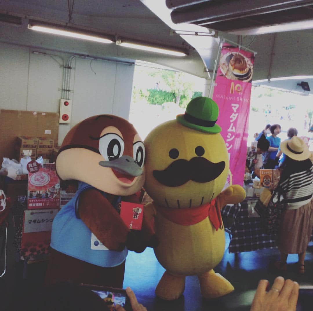 マダムシンコ公式のグルメインスタ