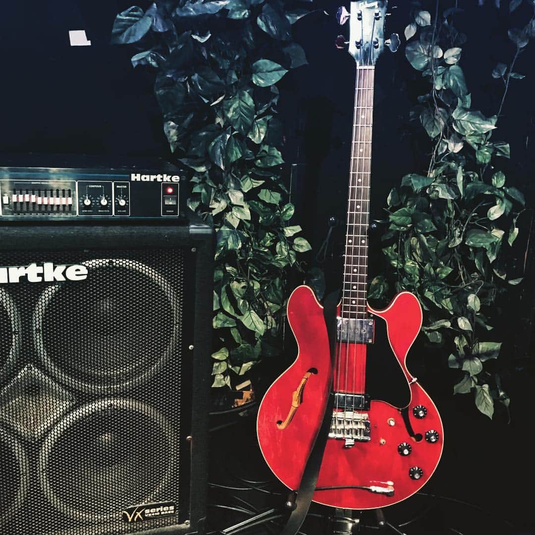 のインスタグラム：「#bass #gibson #eb2d #kyoto #磔磔 #2018ヨルガ京都ライブ #imhome #norikomitose #thankyou」