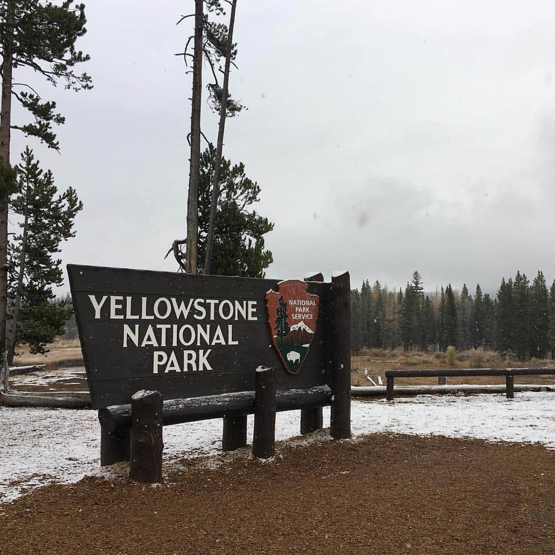 久保田智子のインスタグラム：「Already snowing in #YellowstoneNationalPark #yellowstonenps #Wyoming」