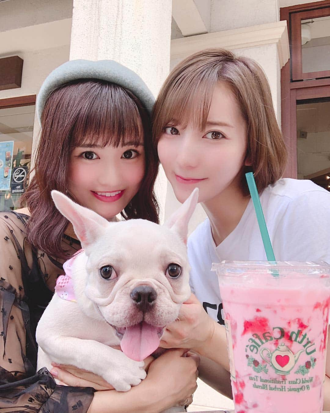 堀みづきさんのインスタグラム写真 - (堀みづきInstagram)「お友達わんことかにーと🐶💕 お天気良くてお出かけ日和でした🚗☀️ #urthcafe #lunch #私たちの思い出の店 #みずかに #お買い物」10月8日 19時45分 - mizuki_027