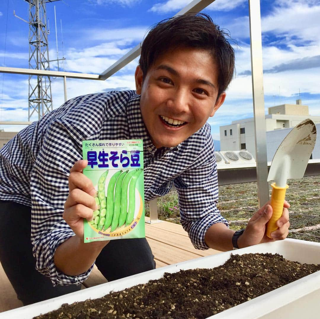 松山航大さんのインスタグラム写真 - (松山航大Instagram)「★ 「松山アングル」で家庭菜園はじめました！ しっかり育てますよ〜！ . #家庭菜園 #そら豆 #長野放送 #土曜はこれダネッ！ #天気コーナー #松山アングル #アナウンサー #松山航大」10月8日 19時59分 - kodai_matsuyama