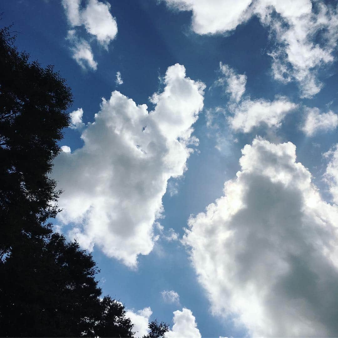 川江美奈子さんのインスタグラム写真 - (川江美奈子Instagram)「もくもく雲だけど 素晴らしい晴れです！ 会場隣りのグラウンドでは野球をしてる若者たち。 すぐ横には川が流れています。 ここはドラムの鶴谷兄さんの美しき故郷。 良いライヴになりそうです。 本日もどうぞよろしくお願いいたします！  #今井美樹 #concert #tour #sky #day17 #todayssky #新潟の空」10月8日 12時09分 - minakokawae