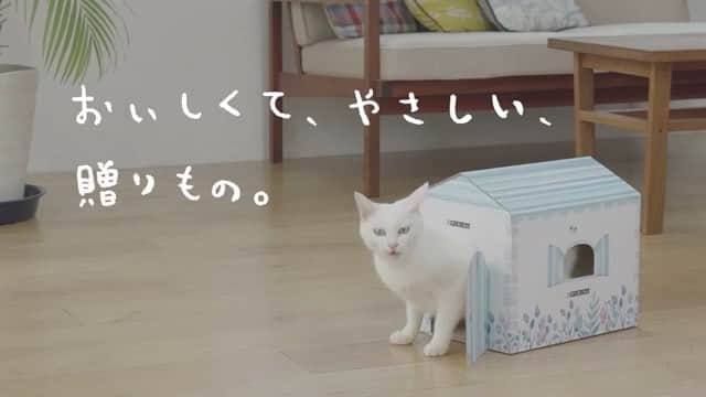 LOHACO（ロハコ）のインスタグラム