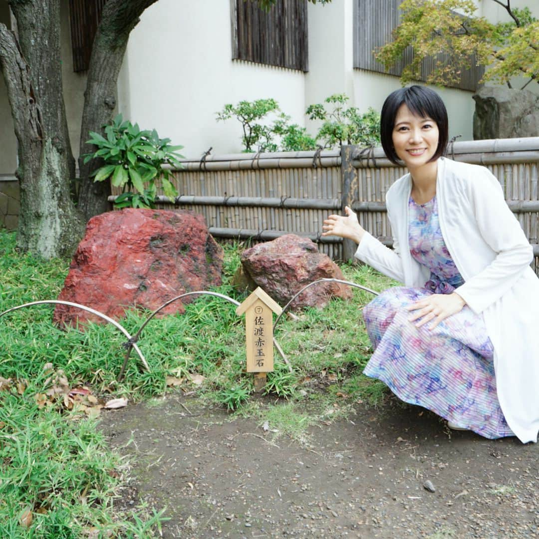 村井美樹さんのインスタグラム写真 - (村井美樹Instagram)「今日は産後、初仕事☺️ 「歴女がいく！えり好み みきき旅」の取材で、都内の憩いのスポット「清澄庭園」に行ってきました。 . 石好きな岩崎弥太郎の趣味が炸裂する珍しい巨石だらけの庭園。まるで石の博物館！ . 清澄庭園は何気に初訪問。鳥やカメもたくさんいて、のんびり癒された〜😆✨ . #清澄庭園 #岩崎弥太郎 #石の博物館 #えり好みみきき旅」10月8日 21時27分 - miki_murai_