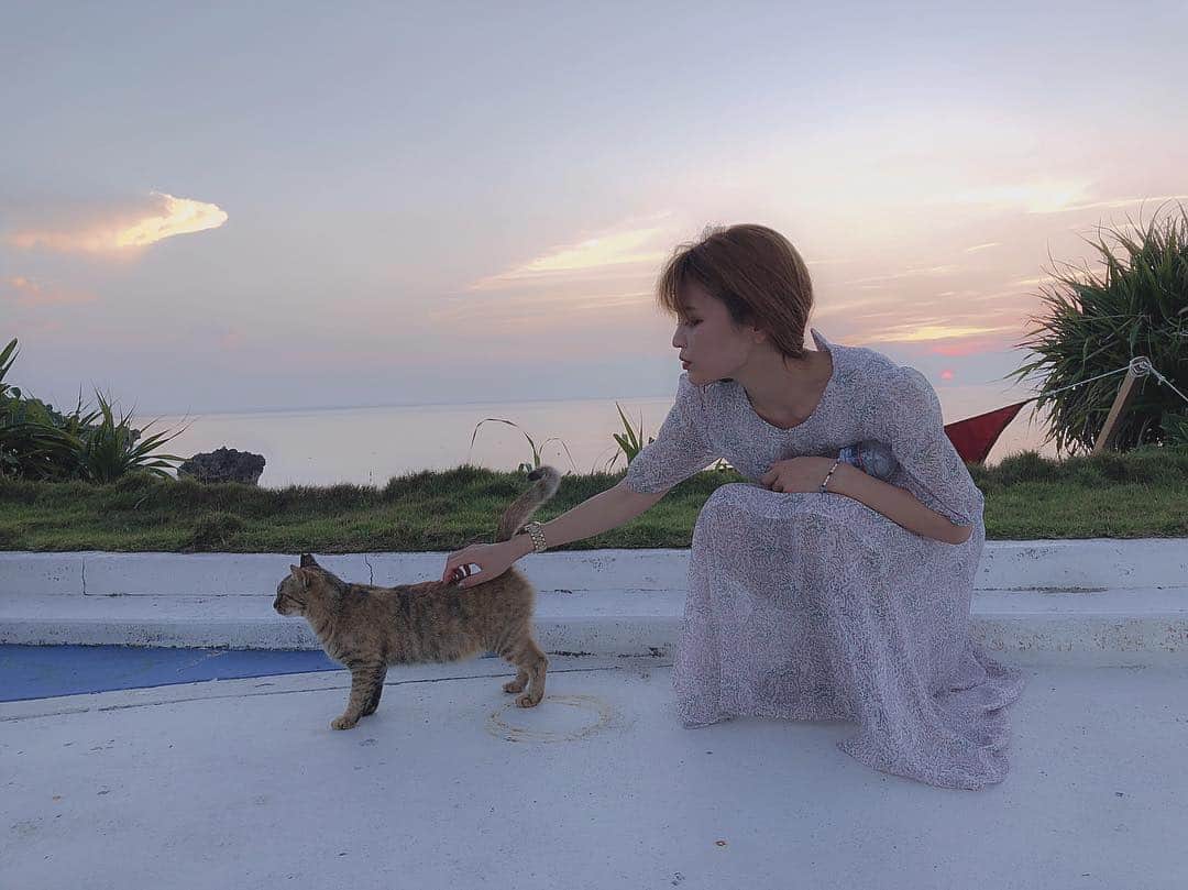 ななぴさんのインスタグラム写真 - (ななぴInstagram)「🐈💭 大事な時間。だいすきです。 こんな時間、東京にいたら味わえないなあ  #ヨロン島 #与論島 #プリシアリゾートヨロン #resort #沖縄 #鹿児島 #離島 #国内旅行 #ななぴトラベル #旅行 #🐈 #海 #絶景 #sunset #summer #dream #幸せ」10月8日 22時52分 - __nanapgram__