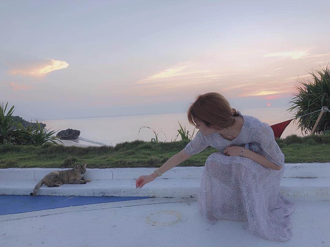 ななぴさんのインスタグラム写真 - (ななぴInstagram)「🐈💭 大事な時間。だいすきです。 こんな時間、東京にいたら味わえないなあ  #ヨロン島 #与論島 #プリシアリゾートヨロン #resort #沖縄 #鹿児島 #離島 #国内旅行 #ななぴトラベル #旅行 #🐈 #海 #絶景 #sunset #summer #dream #幸せ」10月8日 22時52分 - __nanapgram__
