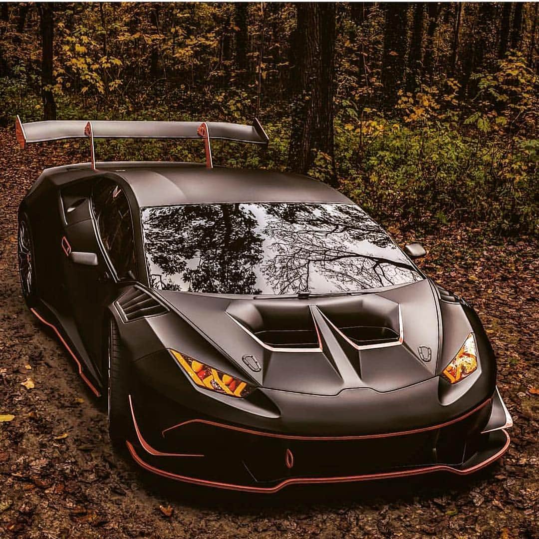 Lamborghiniのインスタグラム：「🍂 BEAST 🍁」