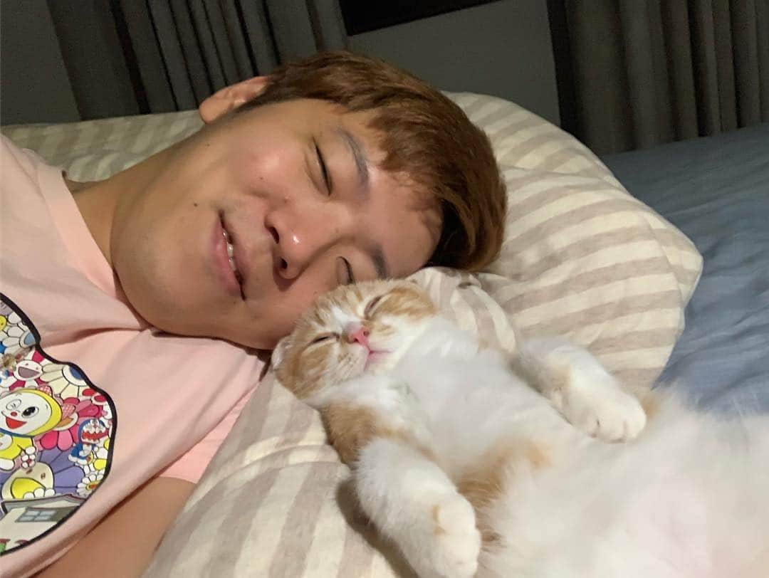 HIKAKINのインスタグラム：「本日もまるおとおねんね😭💕」
