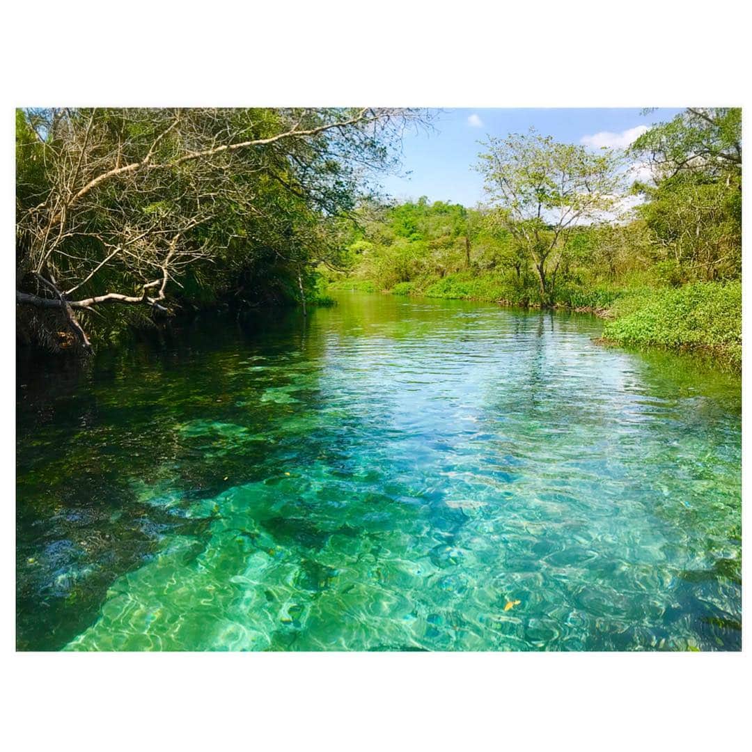 小澤陽子さんのインスタグラム写真 - (小澤陽子Instagram)「on travel ✈︎ . 先月訪れた、Bonito。 〝自然のたっぷりさ〟が素敵すぎるところだったので、おすそわけさせてください‼️ . . River Sucuri🏞  ボニートの中でも、1番透明度の高い川だそう✨  澄んだ川に、ふわふわと浮かびながら。ただただ 3㎞ほど下る時間。 幸せでした、、☺️🌿 . . #冒険好きおざよーの旅記録✈︎ #RiverSucri #Bonito #Brazil  #シェアはぴ🌻  Love the nature, thank to the earth☻🌎.」10月9日 18時54分 - yoko.ozawa729