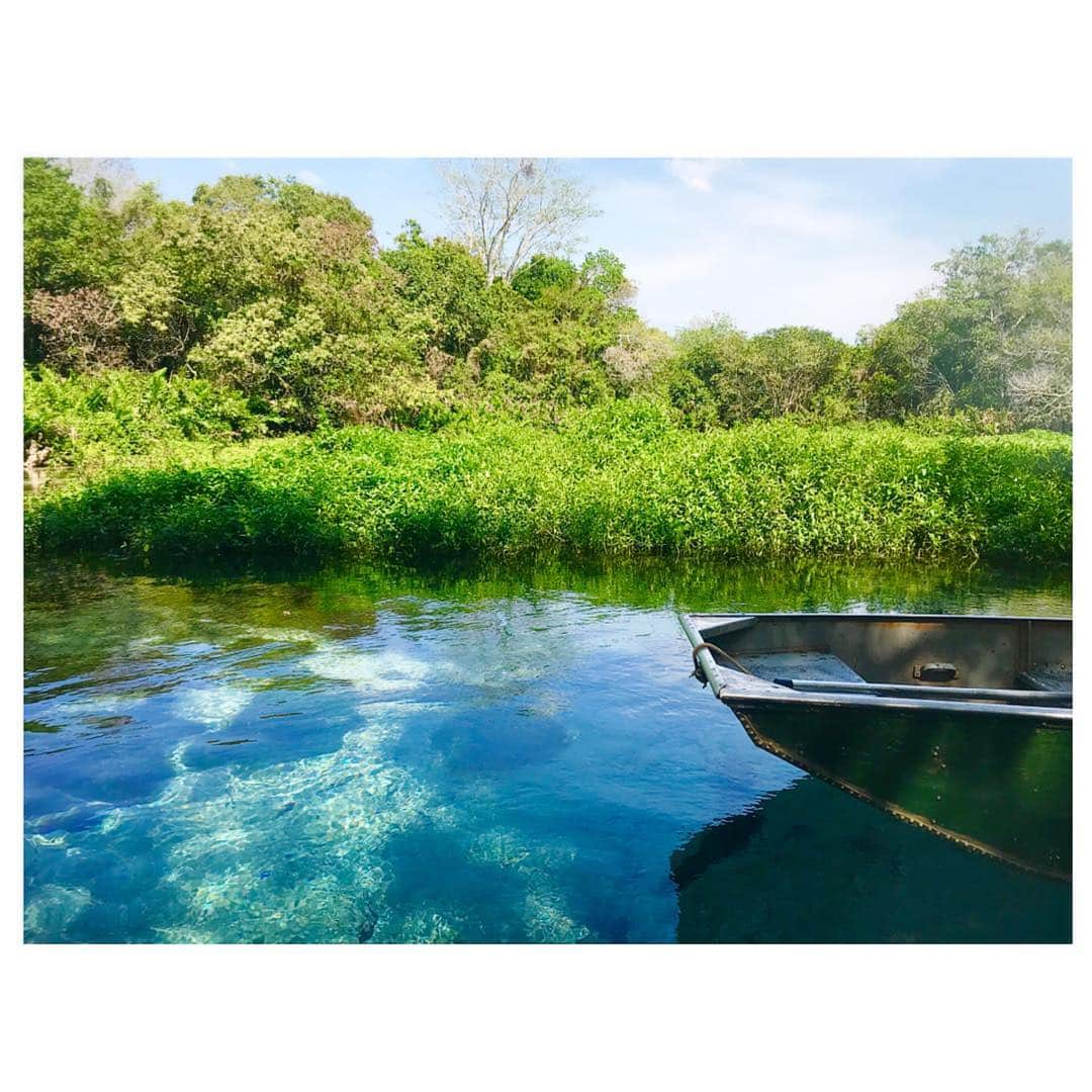 小澤陽子さんのインスタグラム写真 - (小澤陽子Instagram)「on travel ✈︎ . 先月訪れた、Bonito。 〝自然のたっぷりさ〟が素敵すぎるところだったので、おすそわけさせてください‼️ . . River Sucuri🏞  ボニートの中でも、1番透明度の高い川だそう✨  澄んだ川に、ふわふわと浮かびながら。ただただ 3㎞ほど下る時間。 幸せでした、、☺️🌿 . . #冒険好きおざよーの旅記録✈︎ #RiverSucri #Bonito #Brazil  #シェアはぴ🌻  Love the nature, thank to the earth☻🌎.」10月9日 18時54分 - yoko.ozawa729