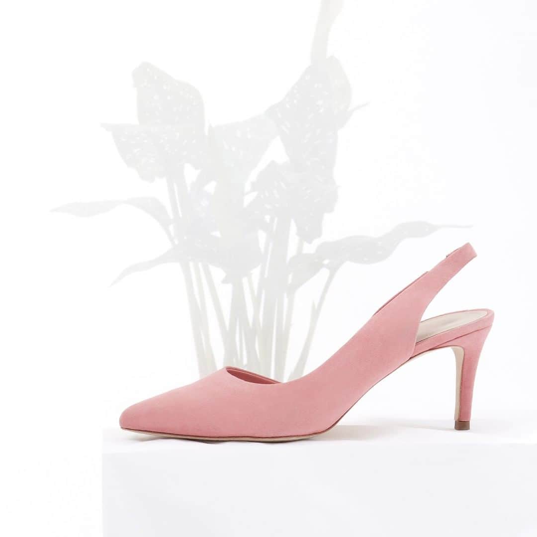 ポーララビクトレーさんのインスタグラム写真 - (ポーララビクトレーInstagram)「Pretty in pink 💕」10月10日 7時15分 - plv.shoes