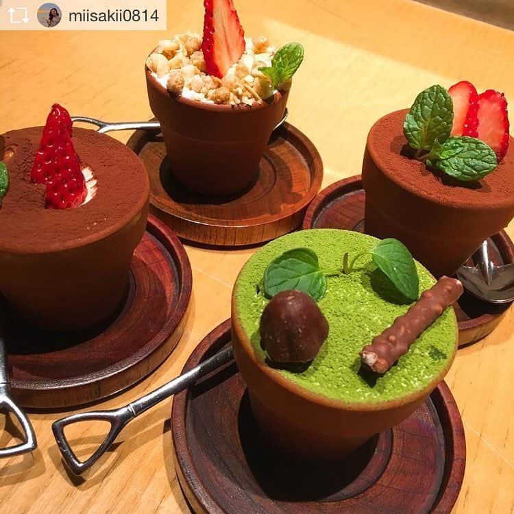 ハレノヒのグルメインスタ