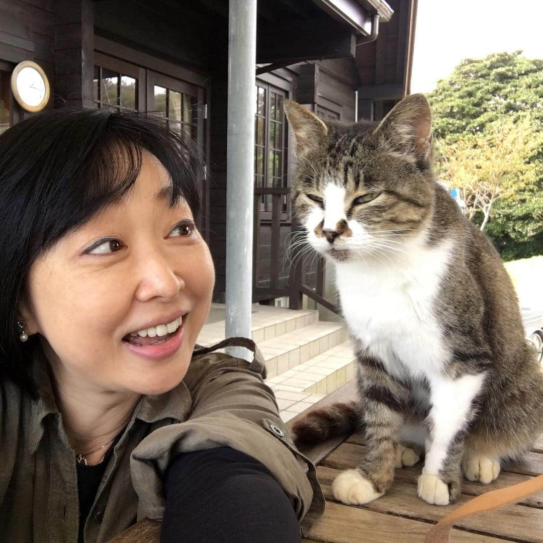 川上麻衣子さんのインスタグラム写真 - (川上麻衣子Instagram)「島で出会ったネコ。旧友のような気が、、、」10月10日 17時25分 - kawakami.maiko