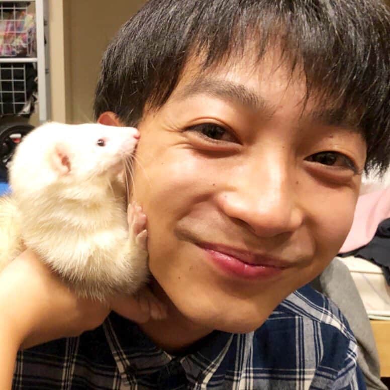 フジテレビアナウンサーのインスタグラム：「上中ぽんちゃんのほっぺにチューしているのは、フェレットのパールちゃん💞 遊びに行ったメンバーみんな、可愛くて癒されました✨ 今年1月末生まれの女の子。 さて、誰の家族でしょうか？？？ ⇦👆 #ベッドに乗せると #遊んでくれると思うのか #はしゃぎまわるらしい  #うちの家族を紹介します #フェレット #パールちゃん #大村パールです！  #上中勇樹 #うえぽん からの#ぽんちゃん  #大村晟 #まさとさん #フジテレビアナウンサー」