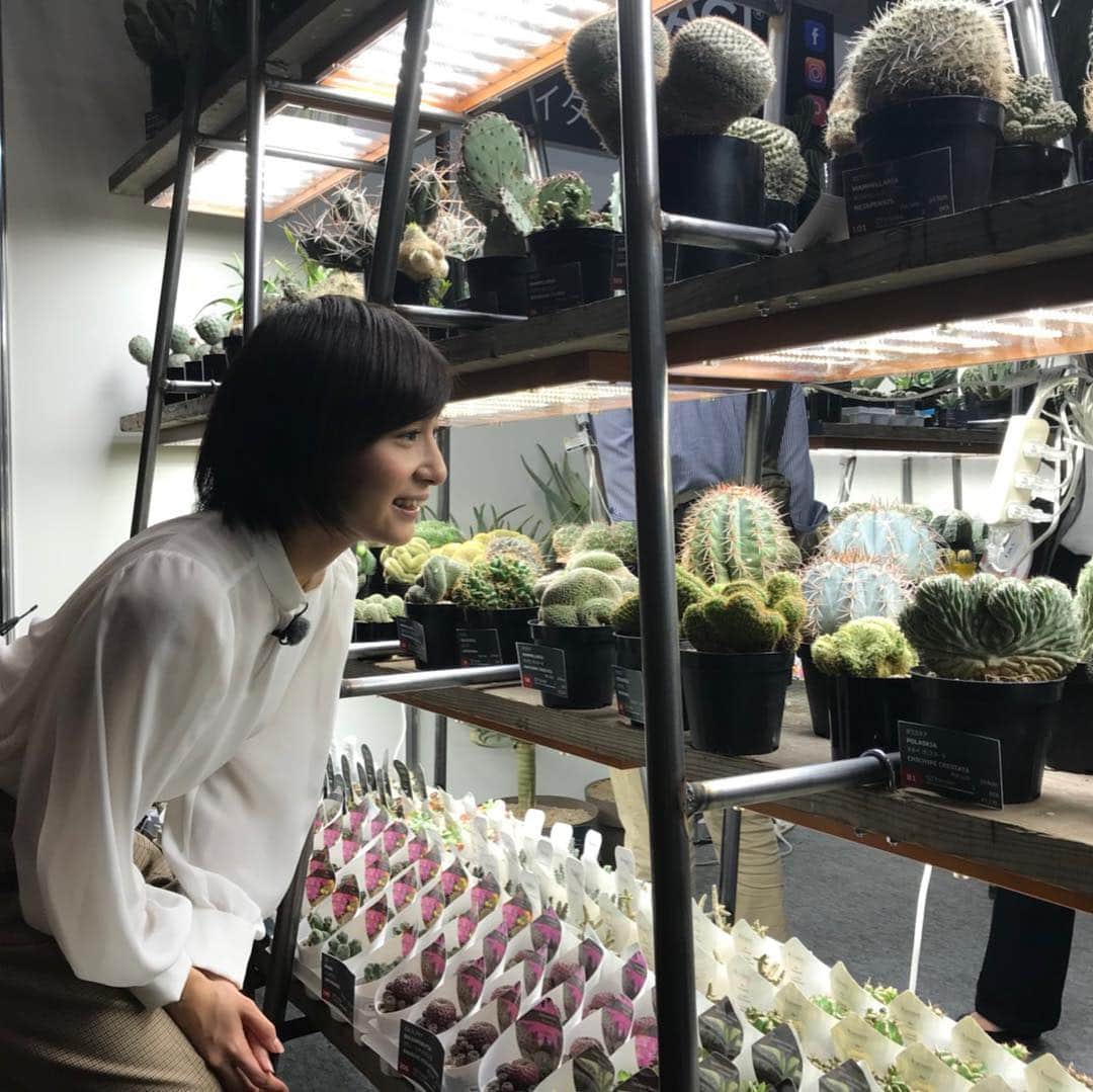 日本テレビ「news zero」さんのインスタグラム写真 - (日本テレビ「news zero」Instagram)「こんばんは、市來玲奈です。 今夜のゼロカルチャーは日本最大の花の見本市へ。"育てやすい”をテーマに、今、人気急上昇中の注目の植物や驚きの園芸用品などを特集します！是非お楽しみに！ #newszero #市來玲奈」10月10日 22時27分 - ntvnewszero