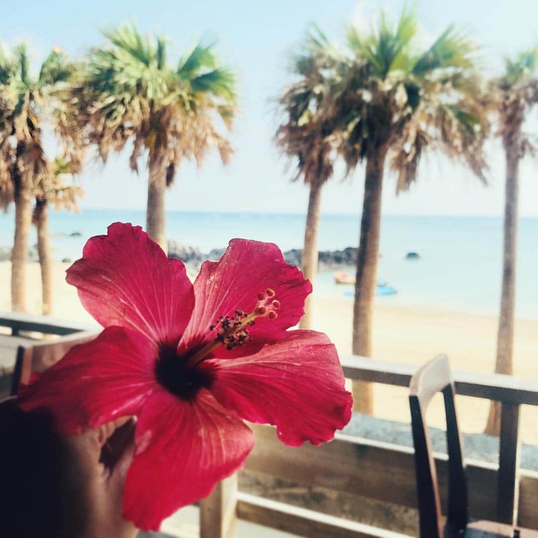 志田友美（ゆうみん）のインスタグラム：「お仕事で初の奄美大島へ🌺 海が綺麗すぎてずっといたかった〜。 ジェットもやったよ🤣✨✨ 衣装は載せられないから景色🤓 今年は沢山海いけて幸せ💗 大好きなハイビスカス🌺 #sea #sunset #amami #amamioshima #summer #beach #scenery #photo #japan #japanesegirl #instagood #instadaily」