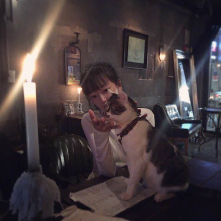 チョ・スヒャンのインスタグラム：「🐱」