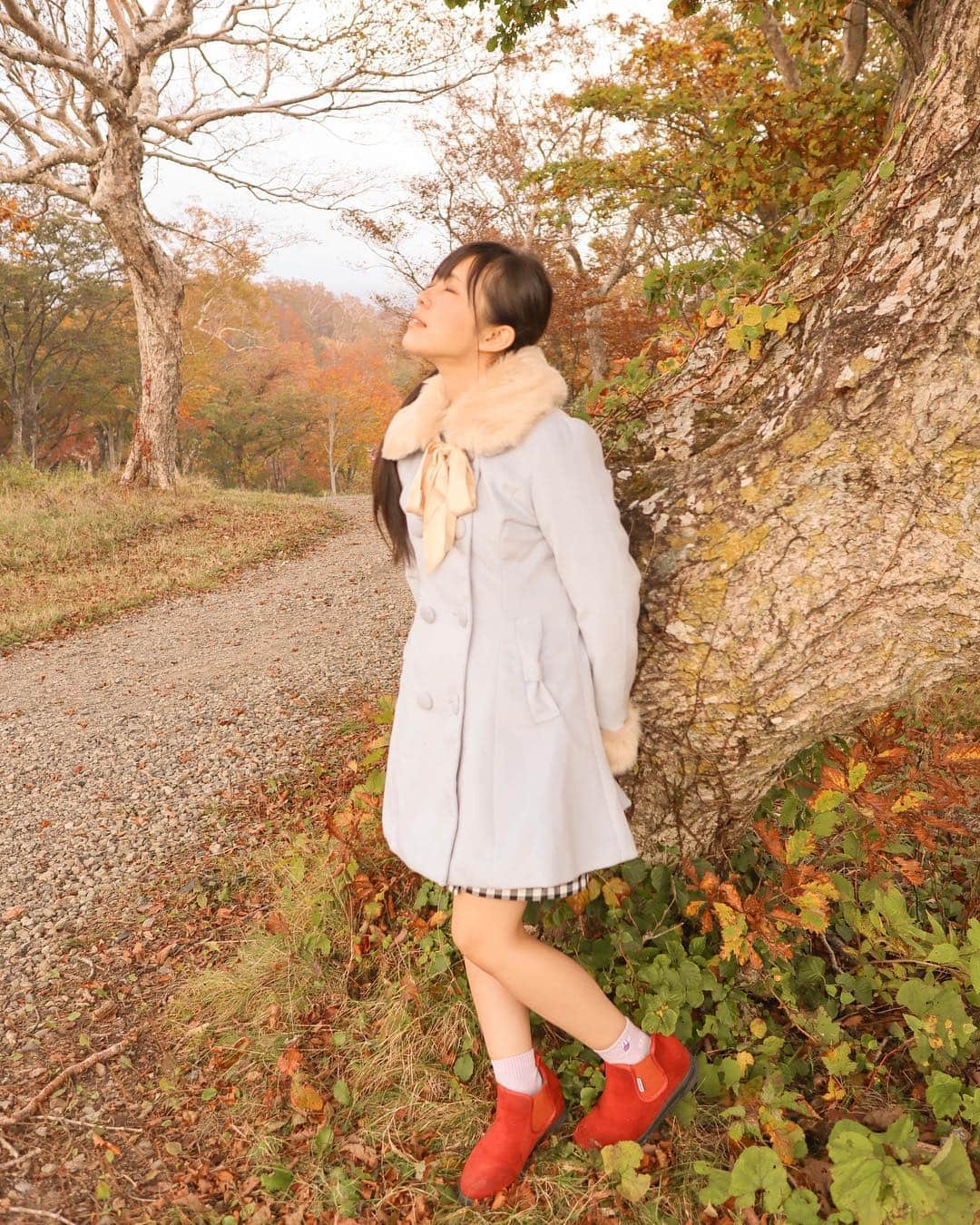 田中みかさんのインスタグラム写真 - (田中みかInstagram)「、 、 、 、 、 GOODMORNING . . . . . . . #japanesegirl #japanesesexygirl #asianbeauty #asiangirls #グラドル#グラビア#グラビアアイドル#sexycostume #フリーモデル #被写体#被写体モデル #portraitgirl #portrait#cuteasian #cutelady #cutegirl#sexyladys #キリトリセカイ #ファインダー越しの私の世界 #ファインダー越しの世界 #カメラ好きな人と繋がりたい #コスプレイヤーさんと繋がりたい #ポートレート好きな人と繋がりたい #モデルさんと繋がりたい #紅葉狩り #autumn #autumnleaves #紅葉#秋コーデ #秋服」10月11日 9時06分 - mikamikatn