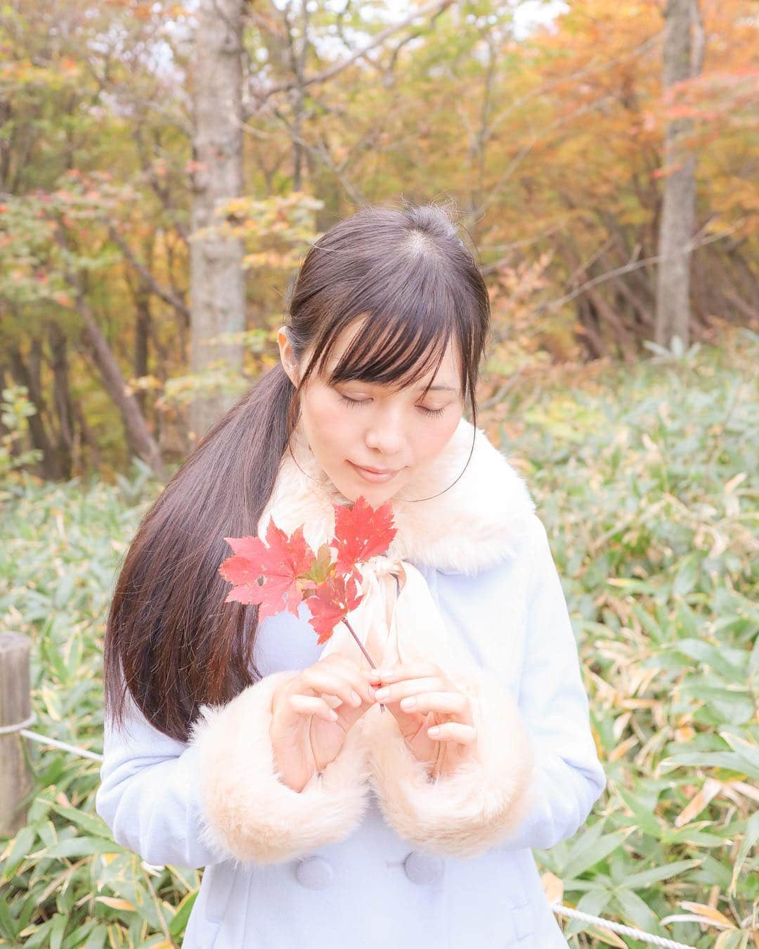 田中みかさんのインスタグラム写真 - (田中みかInstagram)「、 、 、 、 、 GOODMORNING . . . . . . . #japanesegirl #japanesesexygirl #asianbeauty #asiangirls #グラドル#グラビア#グラビアアイドル#sexycostume #フリーモデル #被写体#被写体モデル #portraitgirl #portrait#cuteasian #cutelady #cutegirl#sexyladys #キリトリセカイ #ファインダー越しの私の世界 #ファインダー越しの世界 #カメラ好きな人と繋がりたい #コスプレイヤーさんと繋がりたい #ポートレート好きな人と繋がりたい #モデルさんと繋がりたい #紅葉狩り #autumn #autumnleaves #紅葉#秋コーデ #秋服」10月11日 9時06分 - mikamikatn