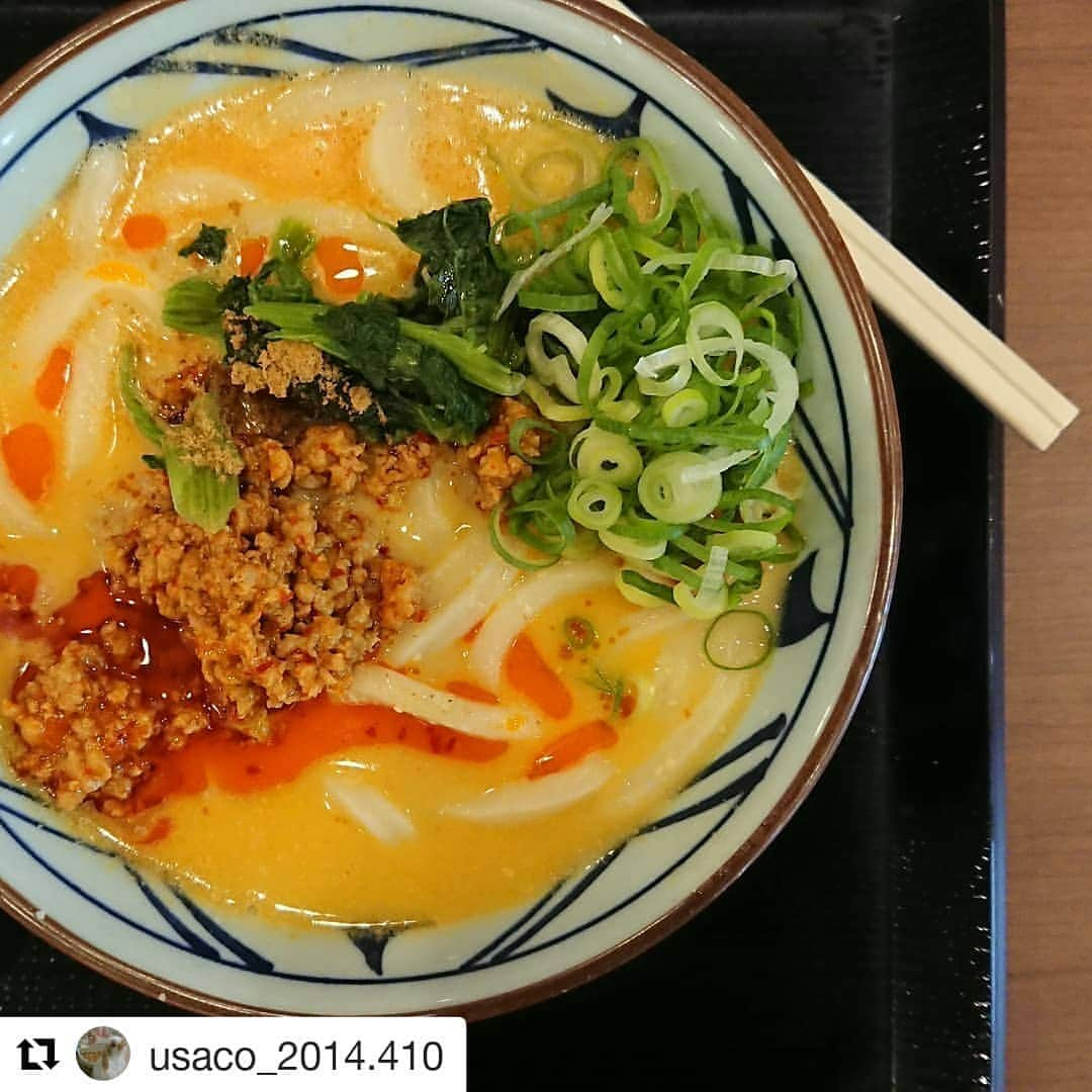 丸亀製麺さんのインスタグラム写真 - (丸亀製麺Instagram)「#Repost @usaco_2014.410 ・・・ 🍽️ . めざましTVを 観て知り 今日のお昼は これっ! . 甘辛の肉味噌 つゆは クリーミー ちょっと  ピリ辛 期間内に  もう１度 食べに行きたい . . ご馳走さまでした ☺️ . . #うま辛 #担々うどん #うどん #丸亀製麺 #期間限定 #ハイカロリー #お昼だから #まっいっか #お昼ごはん #ランチ #lunch #ヨガ #ピラティス #ワークアウト」10月11日 9時42分 - marugame_